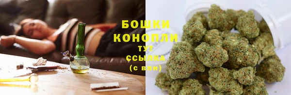 индика Заводоуковск