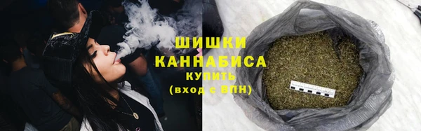ГАЛЛЮЦИНОГЕННЫЕ ГРИБЫ Заволжье