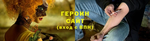 индика Заводоуковск