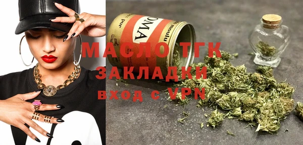 индика Заводоуковск