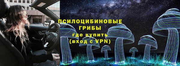 индика Заводоуковск