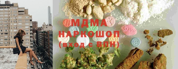 индика Заводоуковск