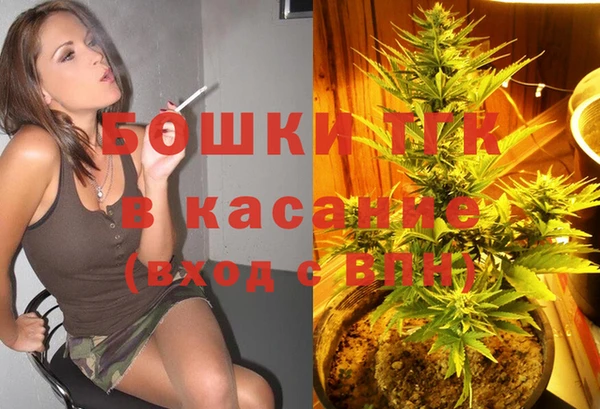 индика Заводоуковск