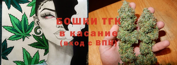 индика Заводоуковск