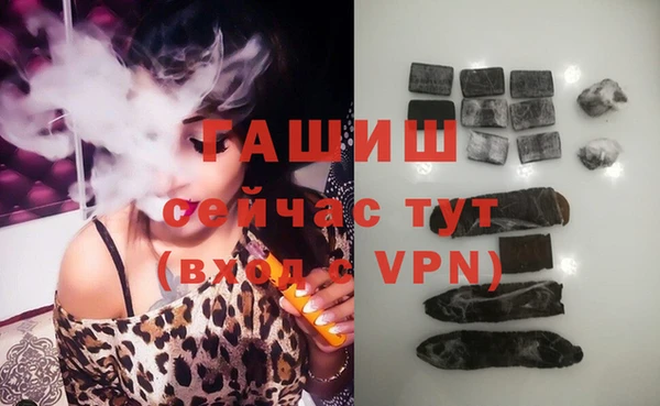 индика Заводоуковск