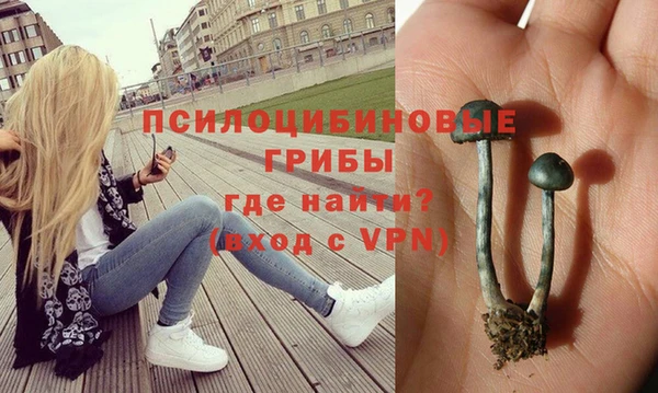 ГАЛЛЮЦИНОГЕННЫЕ ГРИБЫ Заволжье