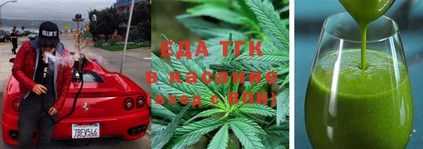 индика Заводоуковск