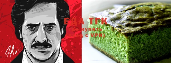индика Заводоуковск