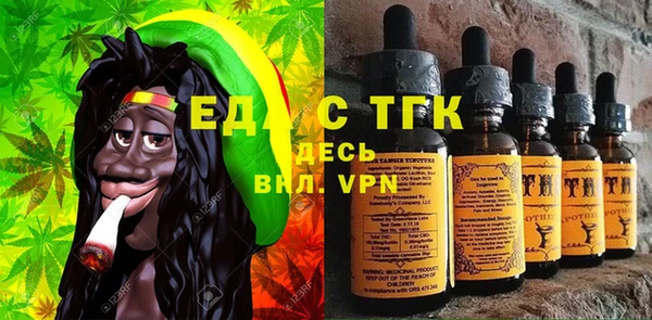 индика Заводоуковск